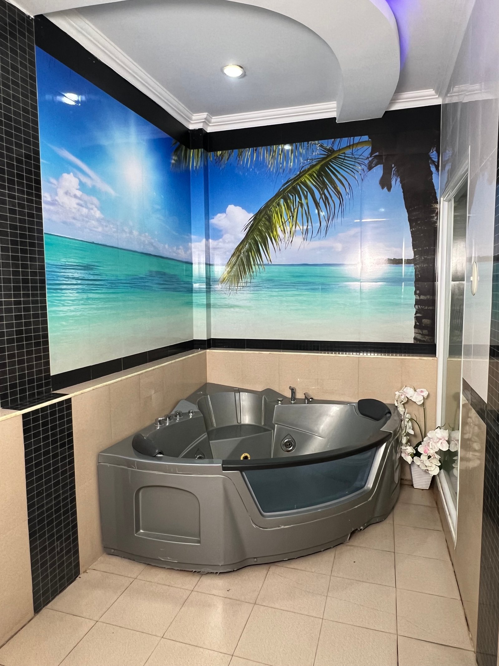 Galería Suite 2